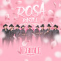 Rosa Pastel