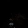 NightBus (feat. Weaver Beats) [Explicit]
