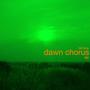 Dawn Chorus EP