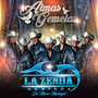 Almas Gemelas