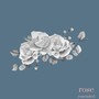 rose (extended version) [Explicit]