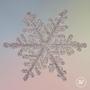 Snowflake (feat. Lauren Lee)