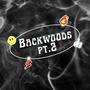 Backwoods Freestyle Pt. 2 (feat. Awulf) [Explicit]