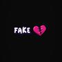 Fake Luv (feat. Lilz.Jr) [Explicit]