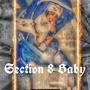 Section Eight Baby (Explicit)