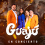 Guajú (En Vivo)