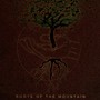 Roots of the Mountain