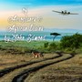 Of Aeroplanes & African Plains