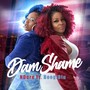 Dam Shame (Explicit)