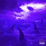 Trap (feat. JugoDiDit! & CHARLESGOTCASH) [(Shark Remix)] [Explicit]