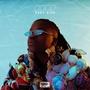 DION (Explicit)