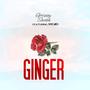 Ginger (feat. Ri Giid)