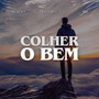 Colher o Bem