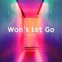 Won't Let Go (feat. Michele Denunzio)