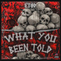 What You Been Told (Explicit)