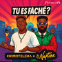 TU ES FÂCHÉ ? (Explicit)