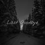 Last Goodbye (Explicit)