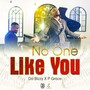 No One Like You (feat. Da Bizzy)