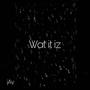 Wat It Iz (Explicit)