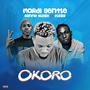 Okoro (feat. SannyBlaze & Flazy) [Explicit]