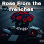 Rose from the trenches (Explicit)