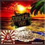 Tropical Vibes (Ib Music Ibiza)