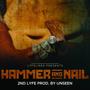 Hammer and Nail