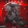 STRESS (feat. Shademusic) [Explicit]