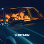 shotgun