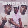 BirdFlu (Explicit)