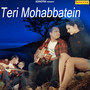 Teri Mohabbatein - Single