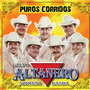 Puros Corridos