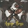 Agege Boys