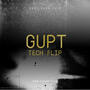 Gupt Tech Flip