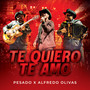Te quiero, te amo