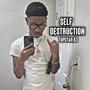 Self Destruction (Explicit)