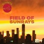 Fields Of Sunrays