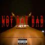 NOT DAT BAD (Explicit)