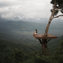 The Healing Power of Nature Sounds