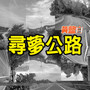 寻梦公路