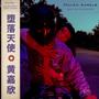 Fallen Angels (Explicit)