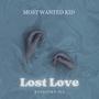 Lost Love (feat. REINCORN SIA)