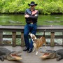 Tale of the Gator