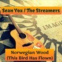 Norwegian Wood ( This Bird Has Flown)