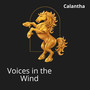 Voices in the Wind