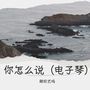 你怎么说（电子琴）