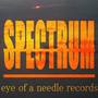 SPECTRUM (feat. Tia Gunz)