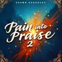 Pain into Praise 2