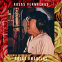 Rosas Vermelhas, Rosas Amarelas