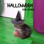 Halloween (Explicit)